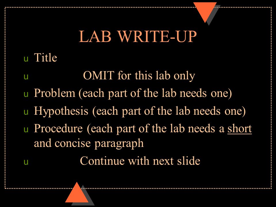 Enzyme lab write up
